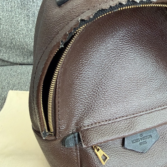 LOUIS VUITTON Monogram Palm Springs MINI Backpack main image 8